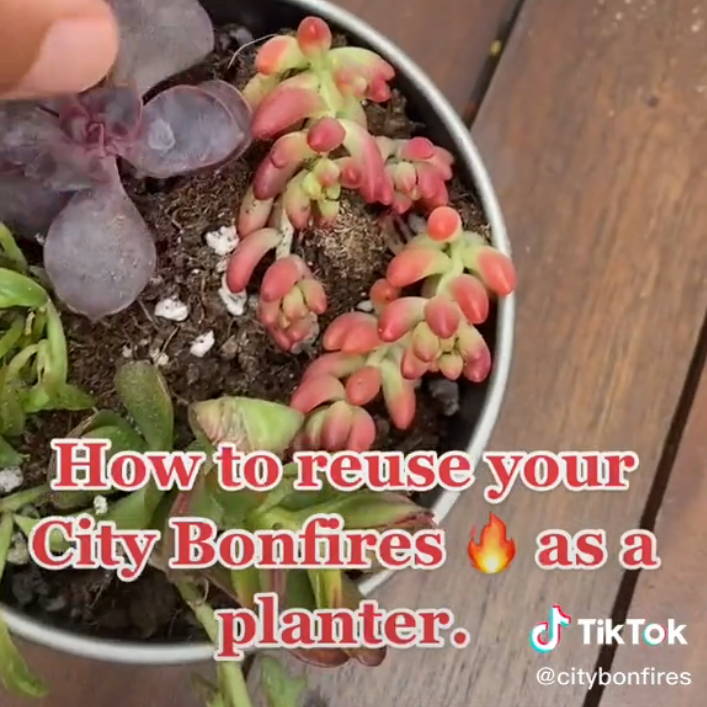 How to Reuse your City Bonfires as a Planter!